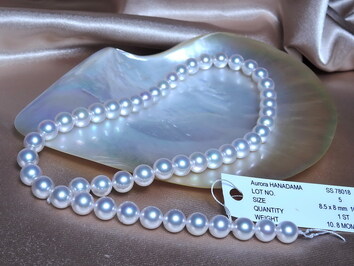 Náhrdelník z japonských akoya perál Hanadama 8mm HANADAMA 8085 Náhrdelník z japonských akoya perál Hanadama 8mm HANADAMA 8085