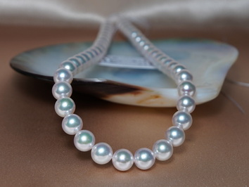 Perlový náhrdelník morské akoya perly APN9095C Perlový náhrdelník morské akoya perly APN9095C