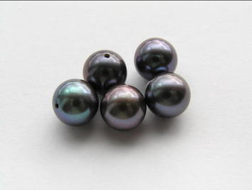 perly RL09AAbM perly RL09AAbM