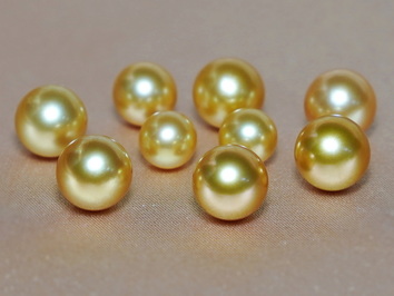 perly SSG200B perly SSG200B