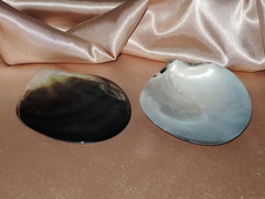 Lastúra TPS100G 1.jpg TPS100G