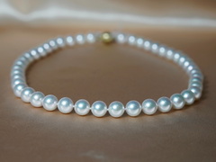 Perlový náhrdelník japonské akoya perly 8,5mm APN8590C APN8590C.JPG APN8590C