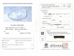 Aurora_Rose_SK42169.jpg Aurora ROSE 6065