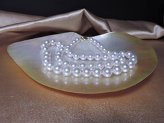 Náhrdelník z japonských akoya perál 7mm AAA APN7075C DSCN0214.jpg APN7075C