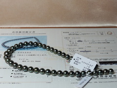 Luxusný náhrdelník z tahitských perál Aurora Lagoon TPN63OP Náhrdelník z tahitských perál Aurora Lagoon.JPG TPN63OP