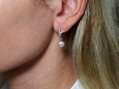 Zlaté náušnice 14K s perlami Južného Pacifiku WW06WVE-W Perlové náušnice WW06WVE.JPG WW06WVE-W