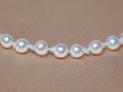 Perlový náhrdelník japonské akoya perly AA APN7580AAC Perlový náhrdelník APN7580AAC.1.JPG APN7580AAC