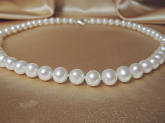 Perlový náhrdelník sladkovodné perly 7,5 mm AA+ NRSN7580AA+wH Perlový náhrdelník NRSN7580AA+wH_.JPG NRSN7580AA+wH