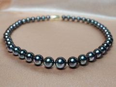 Perlový náhrdelník tahitské perly TPN057OP Perlový náhrdelník tahitské perly TPN057OP-1.JPG TPN057OP