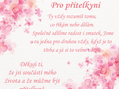 Personalizovaný perlový náhrdelník PS009 Pro přítelkyni CZK resize.png PS009