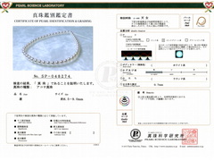 TENNYO 8590.o.jpg TEN-NYO 8590