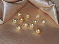 perly SSG200B perly-ssg200b.jpg SSG200B