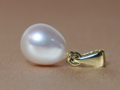 Prívesok s perlou FTyP005wJ privesok-s-pravou-perlou-ftyp005wj.JPG FTyP005wJ